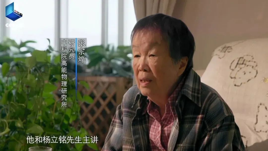 张.jpg