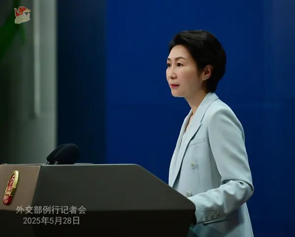 毛宁.jpg