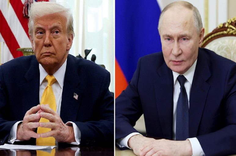 美软03.png 美软03.png