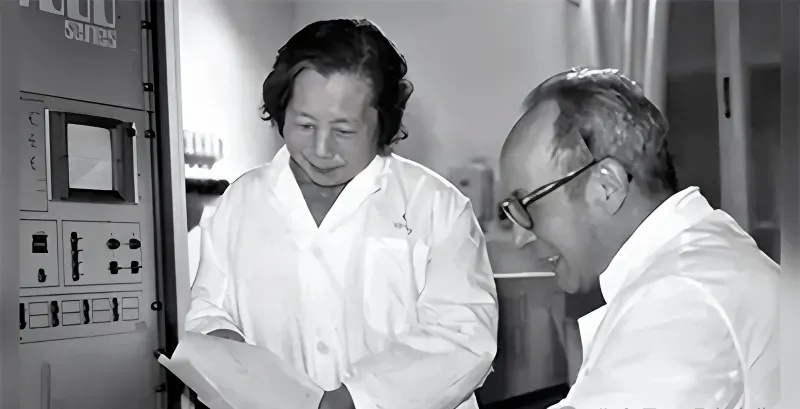 夫妇.jpg 夫妇.jpg